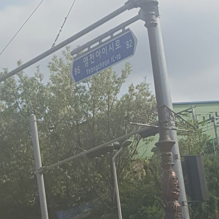 영천시를 가장 싫어하는 곳은? | 인스티즈