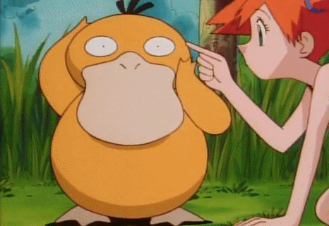 알고보면 불쌍한 오리너구리 | 인스티즈