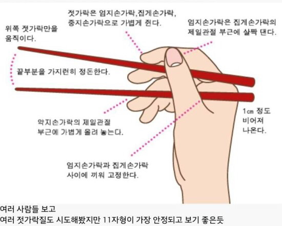 젓가락질 중요하다 vs 살아가는데 아무 지장없다 | 인스티즈