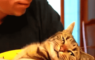 웬만하면 자제해주라냥..! | 인스티즈