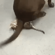 혼자만의 고된 싸움.gif | 인스티즈