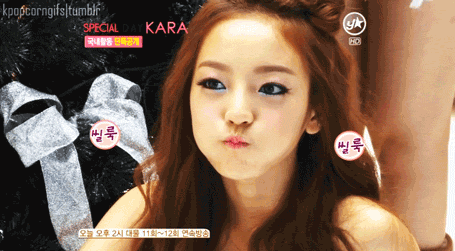 명절날의 강아지들.jpg | 인스티즈