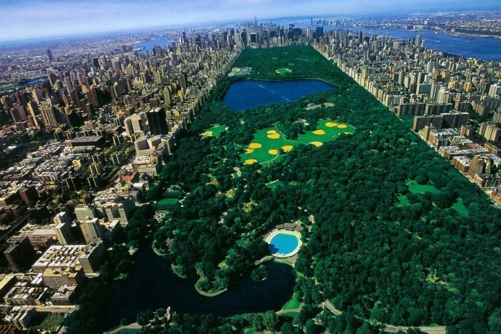 천조국의 흔한 공원 | 인스티즈