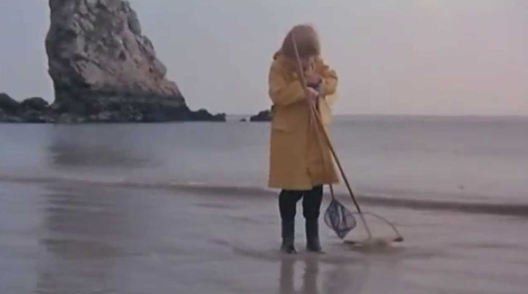 봉준호 감독이 뽑은 가장 좋아하는 프랑스 영화 10편 .JPG | 인스티즈