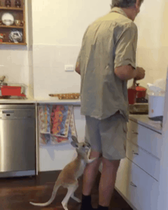 빨리 밥 달라는 애기.gif | 인스티즈