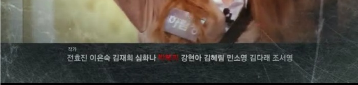 크라임씬에 숨겨진 비밀 (feat.작진사마) | 인스티즈