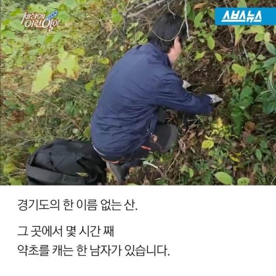 주사 맞아가며 약초 캐는 남자 | 인스티즈