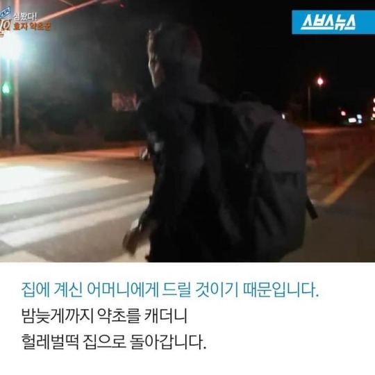 주사 맞아가며 약초 캐는 남자 | 인스티즈