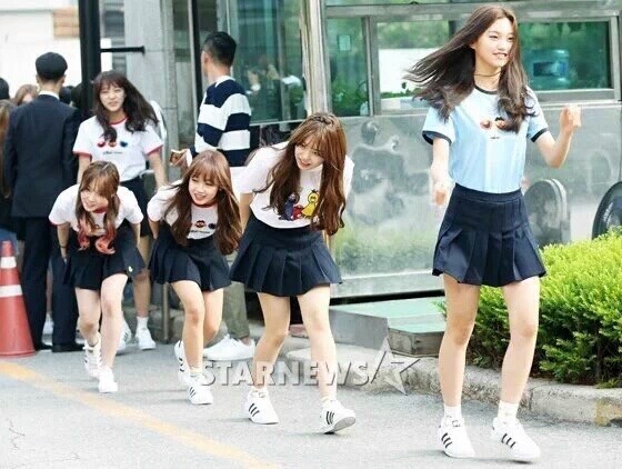 호모아오아스.JPG | 인스티즈