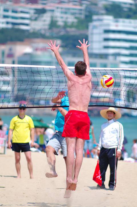 남자경기보다 여자경기가 더욱 인기 많은 몇 안되는 스포츠종목... | 인스티즈