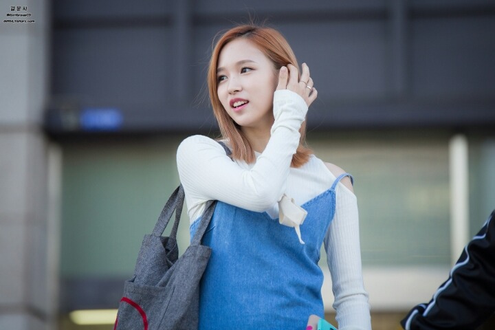 [트와이스] 미사모 출퇴근길 모음 | 인스티즈