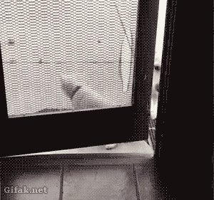 개매너.gif | 인스티즈