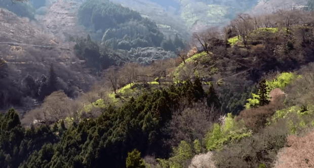 봄이 오면 볼 수 있는 모습 | 인스티즈
