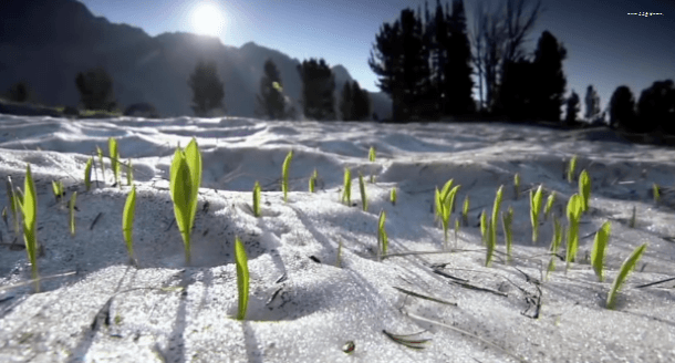 봄이 오면 볼 수 있는 모습 | 인스티즈