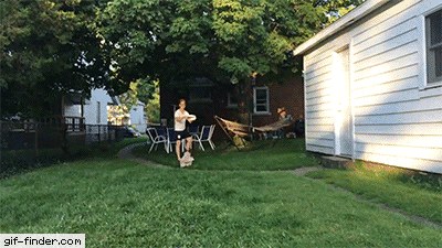 어이없어서 피식하게되는 개고양이들.gif | 인스티즈