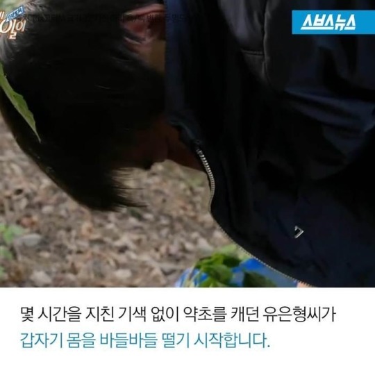 주사 맞아가며 약초 캐는 남자 | 인스티즈