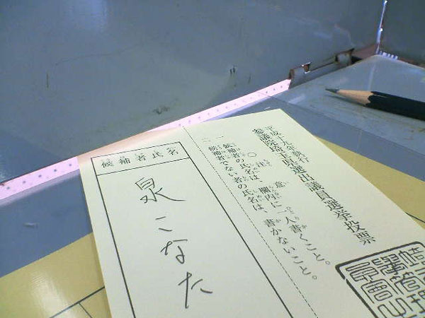 일본의 투표 용지.jpg | 인스티즈