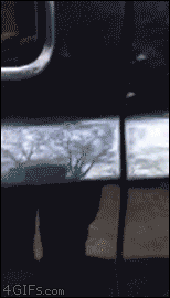 개멘토 .GIF | 인스티즈