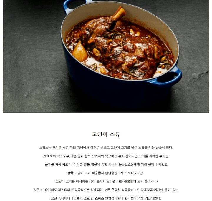 외국인이 한국인의 보신탕 먹는 문화 간접체험 | 인스티즈