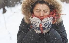 겨울 호vs불호 | 인스티즈