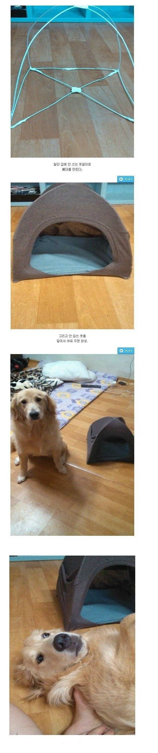 개에게 집을 만들어 줬습니다 | 인스티즈