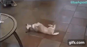 진정한 친구 | 인스티즈