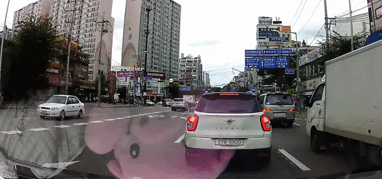 차가 피해 가겠지 | 인스티즈