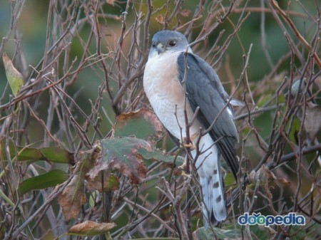 ???: 이게 조롱인가요?? | 인스티즈