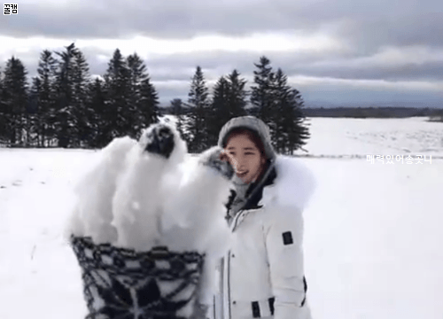 홋카이도 설원에서 트와이스.jpgif | 인스티즈