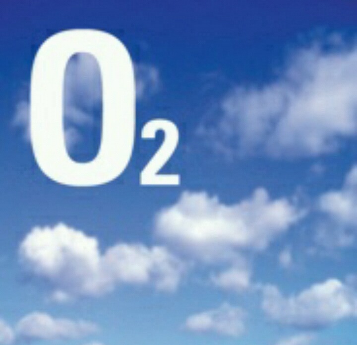 불호 0%에 도전한다 3 | 인스티즈