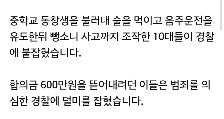 간 큰 10대들...동창 술먹여 음주운전 유도•뺑소니 조작 | 인스티즈