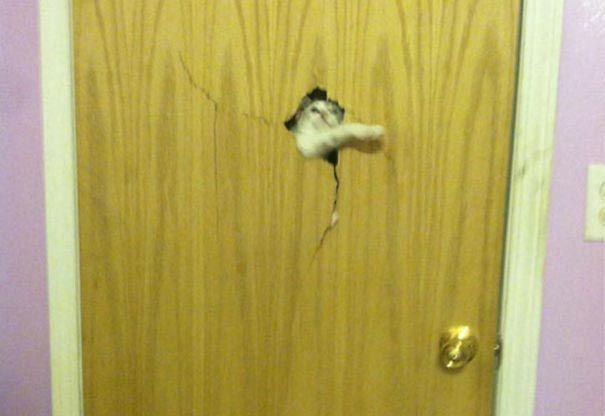 들어가게 해주세욥.JPG | 인스티즈