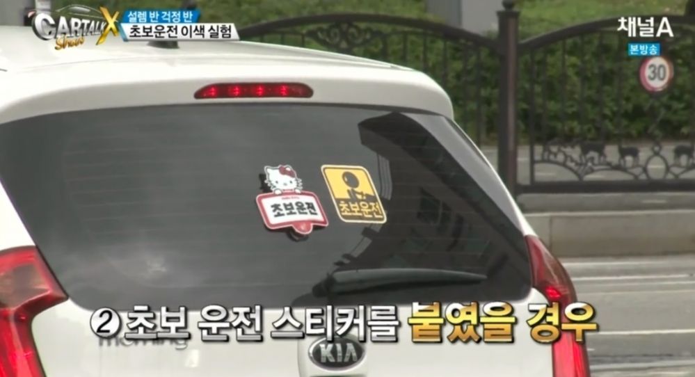 문신토시가 존재하는 이유 | 인스티즈