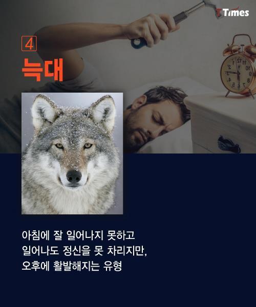 수면 패턴으로 알아보는 인간형 분류.jpg | 인스티즈