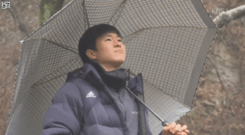 멕시코 터는 연예인.gif | 인스티즈