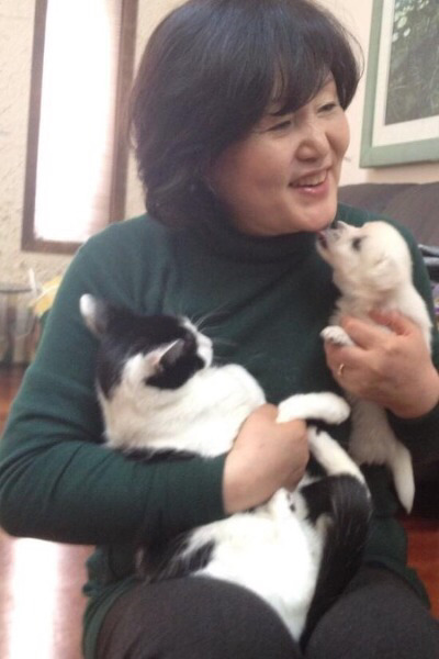 만약 청와대 입성한다면 청와대 최초냥이 | 인스티즈