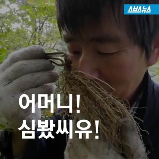 주사 맞아가며 약초 캐는 남자 | 인스티즈
