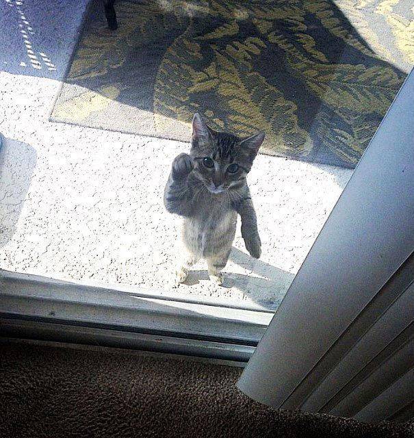 들어가게 해주세욥.JPG | 인스티즈