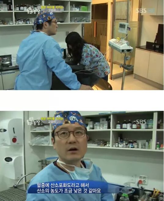 길냥이들의 삶 | 인스티즈