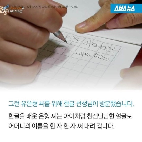주사 맞아가며 약초 캐는 남자 | 인스티즈