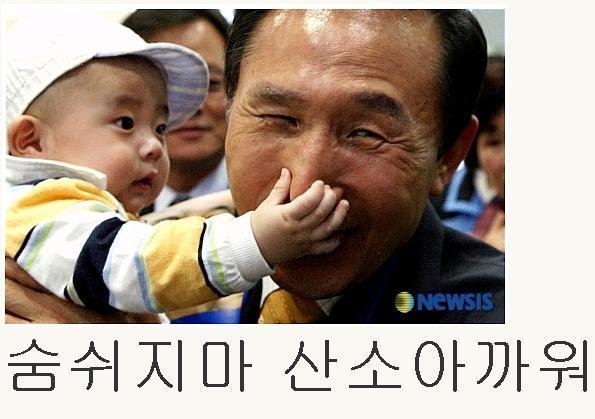 낙동강 어획량 4대강 이후 100분 1로 감소 | 인스티즈