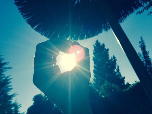  봄이 올 때까지는 | 인스티즈