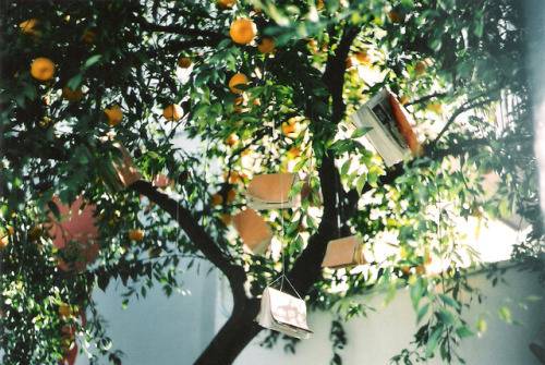 용서의 의미 | 인스티즈