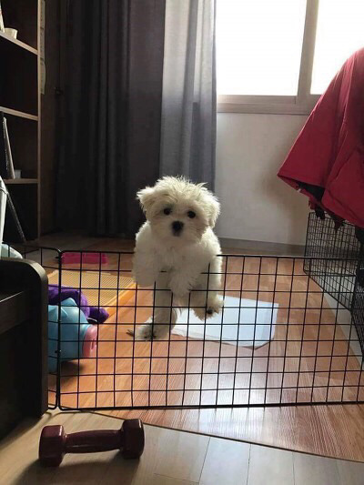 탈출하다가 걸림.jyp | 인스티즈