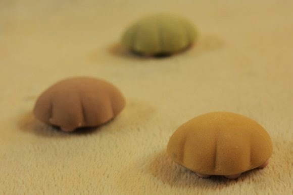 일본의 고양이 마쉬멜로 | 인스티즈