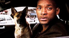 하루빨리 후속작 나왔으면 하는 영화 | 인스티즈