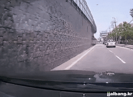 [움짤] 위험한 자전거 운행 | 인스티즈