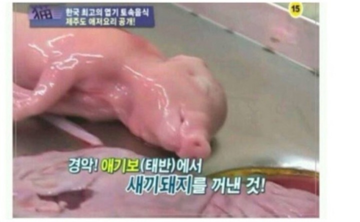 혐오음식 한중일 | 인스티즈