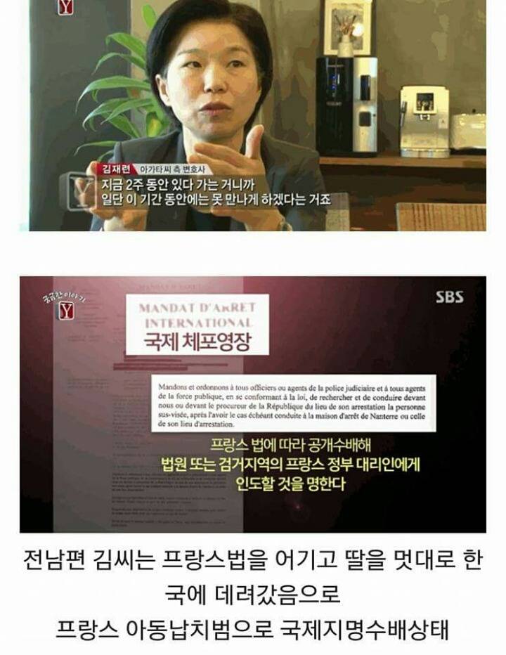 프랑스 아동 납치법으로 국제 수배 지명 상태에 놓인 김씨 (슬픔주의) | 인스티즈