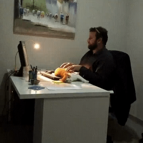 일 처리가 늦어지는 이유~ | 인스티즈